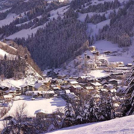 Апартаменты Kleinellmauhof Гроссарль Экстерьер фото